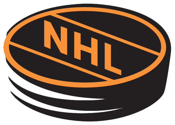 National Hockey League 1994-2005 Alternate Logo DIY iron on transfer (heat transfer)